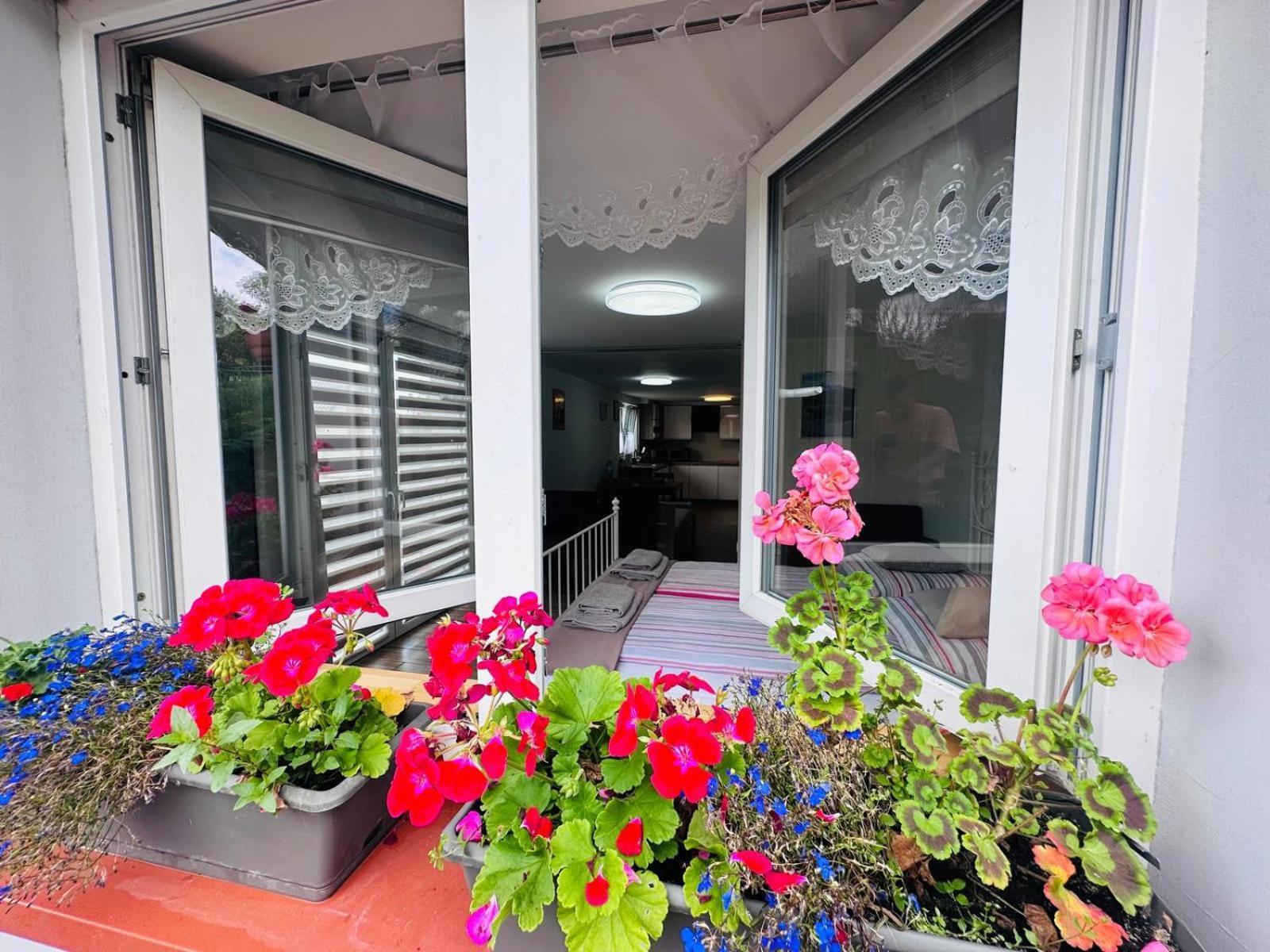 Apartament Bukowy 쿠드즈코 외부 사진
